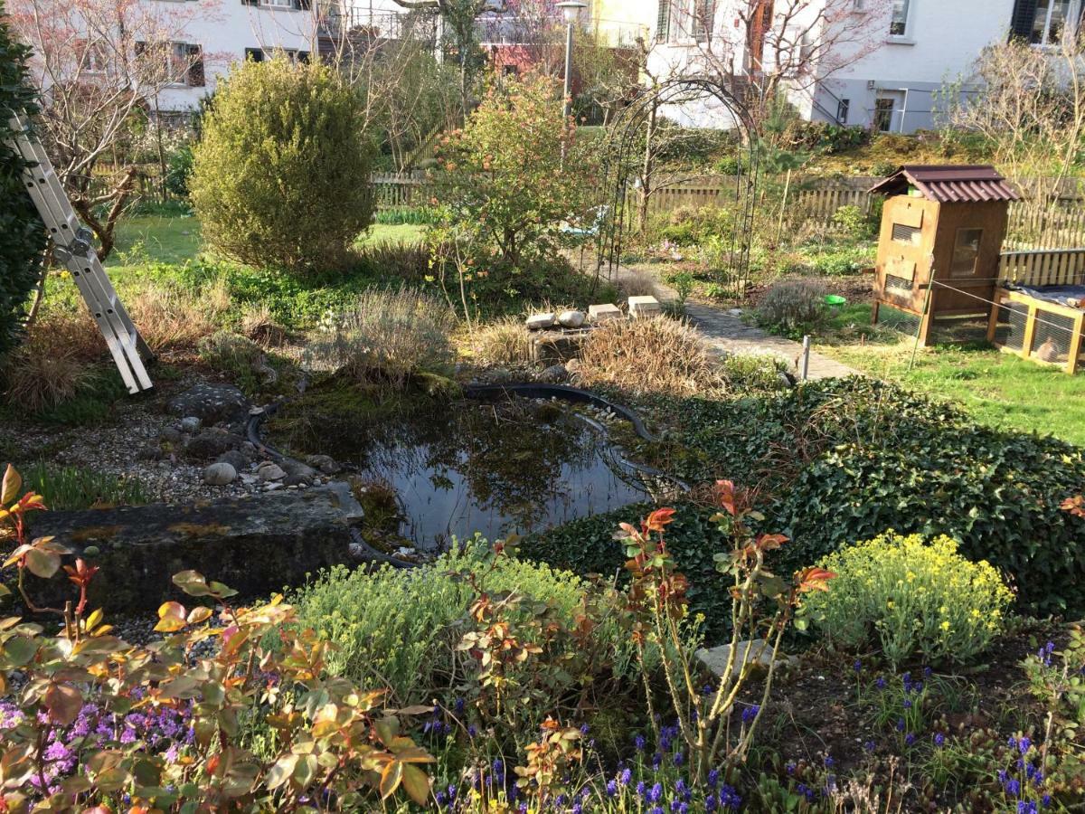 Ruhiges Gaestezimmer Winterthur Bagian luar foto